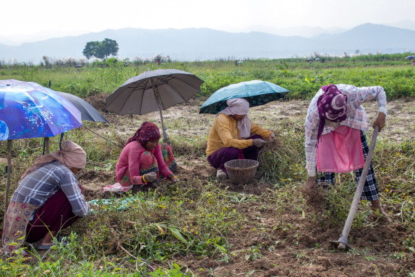 Improving livelihoods of landless farmers through Climate Smart Agriculture